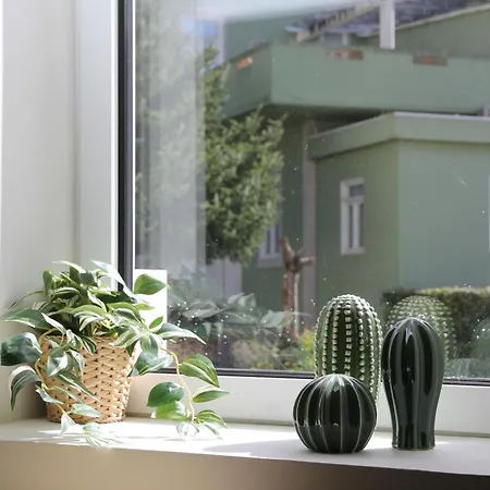 Downtown Refuge Camoes Apartman *