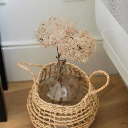 Downtown Refuge Camoes Appartement *