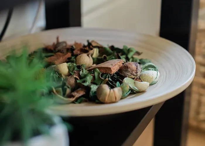 Downtown Refuge Camoes Daire