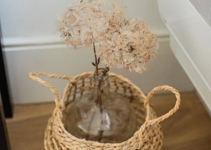 Downtown Refuge Camoes Apartmán *